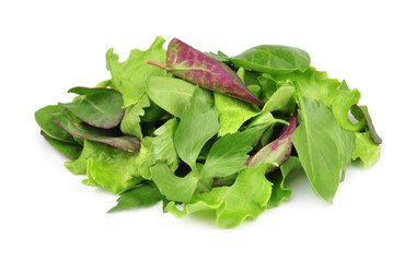 mixed fresh salad leaves