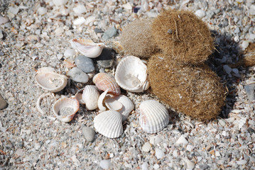 Sassi in spiaggia
