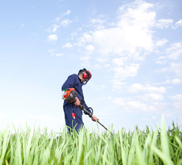 cut the grass