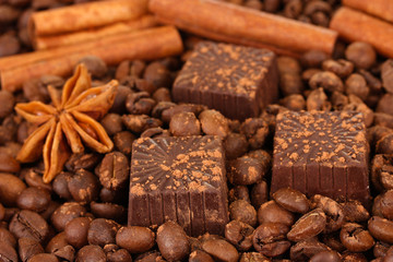 Chocolate sweets with cocoa,spices and nuts,