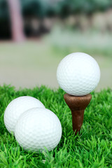 Golf balls on grass outdoor close up
