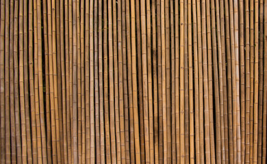 Bamboo Wall