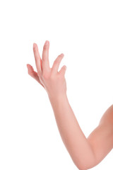 Obraz premium woman's hand