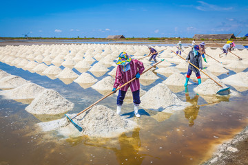 The workers are sweeping the raw salt