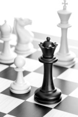 Chess queen © victoria p.