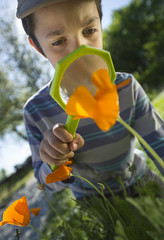 Enfant observant la nature avec une loupe