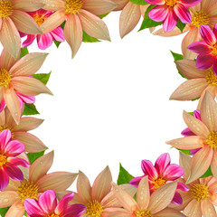 colorful flower frame isolated on white background