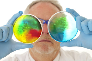 Microbiologie - Oservation des boites de pétri