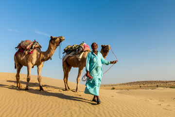 Cameleer (camel driver) with camels in dunes of Thar desert. Raj - obrazy, fototapety, plakaty