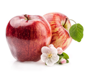 Red Apples with flowers isolated on white background