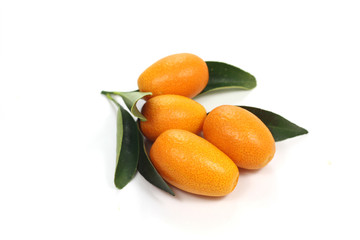kumquat
