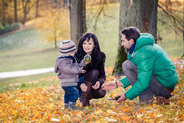 Naklejka na ściany i meble family in the autumn park
