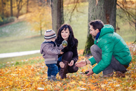 family in the autumn park