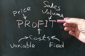 Business profit concept