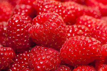 ripe raspberry