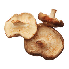 Shitake mushrooms isolated on white background, close up