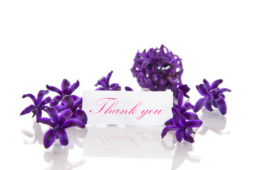 hyacinth flowers with gratitude