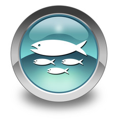 Light Blue Glossy Pictogram 