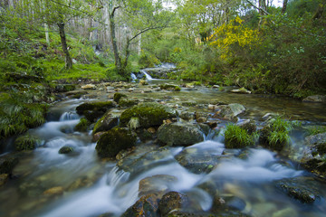 Water flows along a mountain stream in Galicia, Spain
