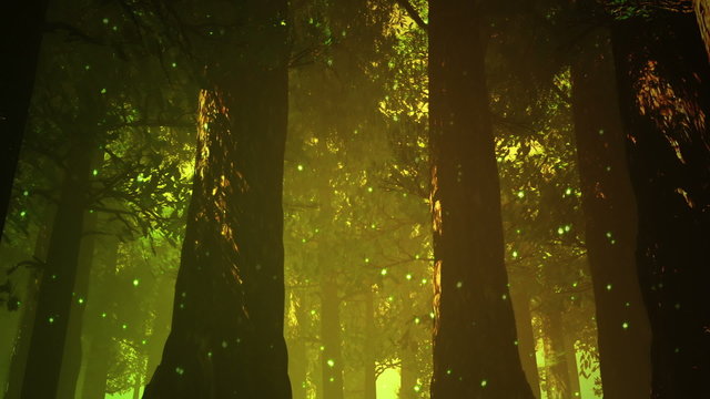 Magic Deep Forest Fairy Tale Scene 3D artwork
