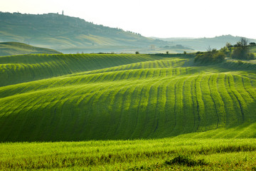 Countryside, San Quirico´Orcia , Tuscany, Italy