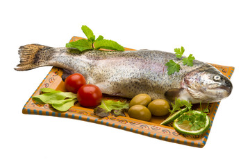 Fresh raw rainbow trout