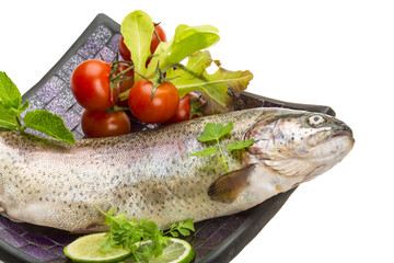 Fresh raw rainbow trout