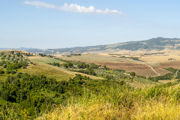 Fototapeta na wymiar Krajobraz w pobliżu Volterra (Toskania)