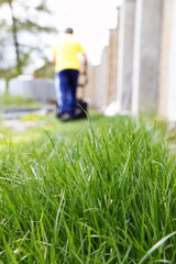 Obraz premium Grass and lawn mowing
