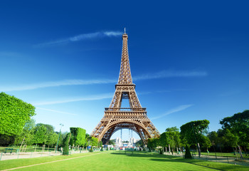 Fototapeta premium Eiffel tower, Paris. France.