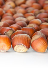 Unbroken hazelnuts on white surface
