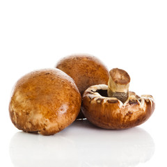 Fresh mushroom champignon isolated on white background .  fresh