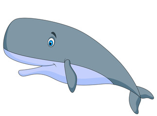 Fototapeta premium Cute sperm whale cartoon