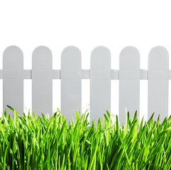 white garden fence and green grass