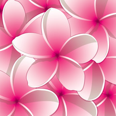 All occasion frangipani card in vector format.