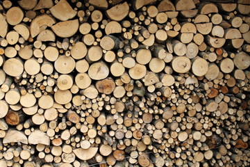 wood background