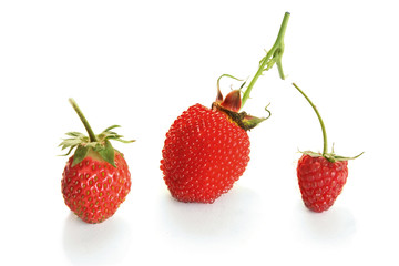 . Berry hybrid raspberries with strawberries isolated on white
