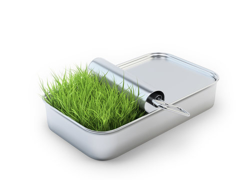 Grass growing out of a tin can