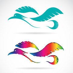 Vector image of an bird on white background