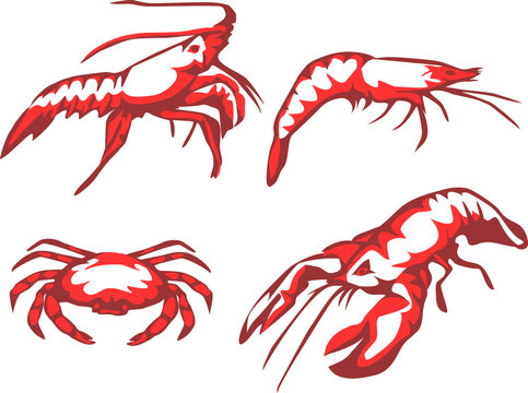 seafood - crustaceans