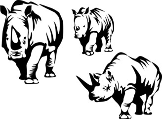 rhinoceros family