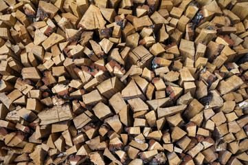 fire woods background