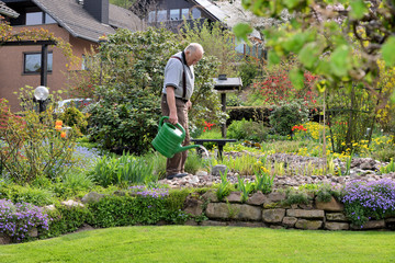 Senior arbeitet im Garten