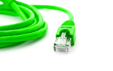 Green network cable on white.