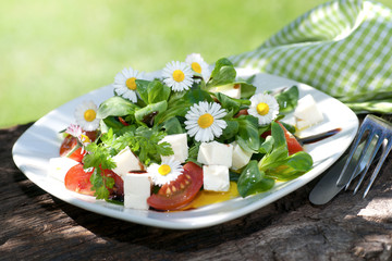 Salat mit Gänseblümchen © Christian Jung