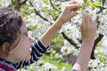 Obraz premium young girl with cherry blossom