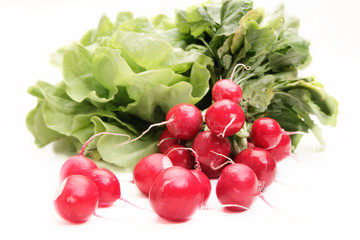 Fresh radish on white background