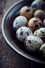 Obraz premium Quail's Eggs