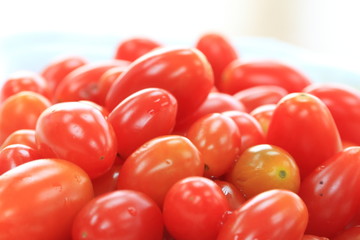 Close Up of tomatoes on white background.