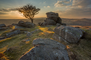 Emsworthy Dartmoor Devon Uk © annacurnow